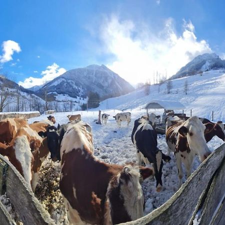 Апартаменты Bio-Bauernhof Schiederhof Fusch an der Grossglocknerstrasse Экстерьер фото