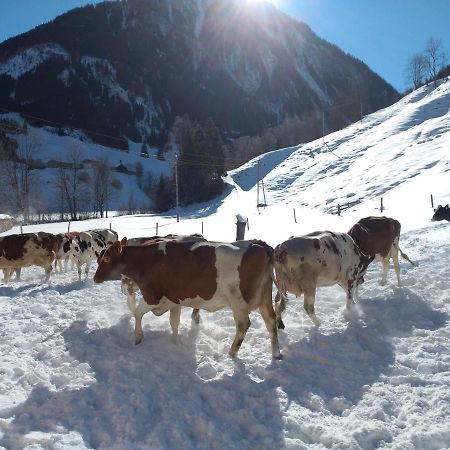 Апартаменты Bio-Bauernhof Schiederhof Fusch an der Grossglocknerstrasse Экстерьер фото